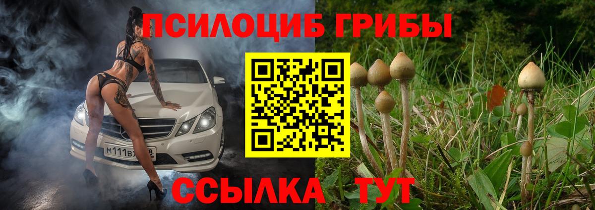 Красноуфимск  как найти   Вход с VPN  Псилоцибиновые грибы мицелий 